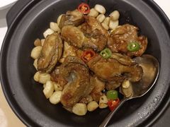 鲜沙姜焗生蚝鸡-樱苑(四川北路店)