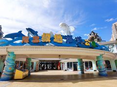 -海合安成都极地海洋公园