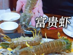 -凯华海鲜火锅·传承三十六年