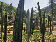 -MOJ coffee(瓯海泽雅水碓坑店)