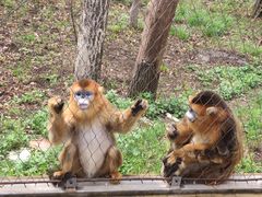 -哈尔滨北方森林动物园