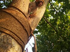 -辛玛王国游乐园