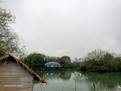 -西溪国家湿地公园