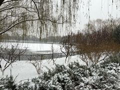 -朝阳公园