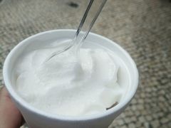 -洪馨椰子