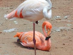 -鄂尔多斯野生动物园