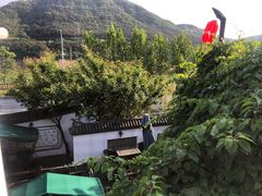 -慢丽江·云南野生菌土鸡锅(西山店)