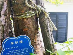 -船政文化景区-罗星塔公园