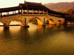 -长广溪湿地公园