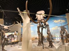 -国家自然博物馆