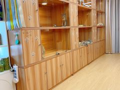 -猫十亿·布偶金渐层·曼基康矮脚猫舍(青年路店)
