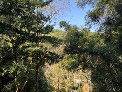 -火炉山森林公园