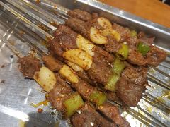 -福苗小骆驼烧烤(莲湖路店)