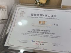 -宠颐生宠物医院·心肾内科·猫专科诊疗中心宠巢店