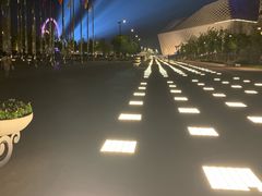 -南京眼步行桥
