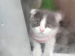 -北京华联合肥长江西路购物中心