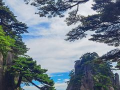 -黄山风景区