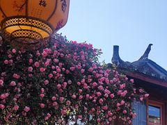 -民食香·腊排骨野生菌美食(木府店)