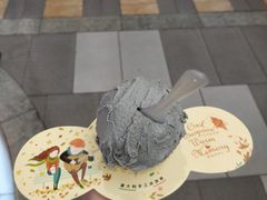 -野人先生现做冰淇淋(西安赛格店)