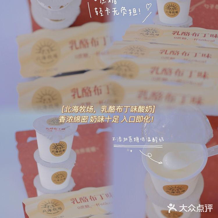 北海牧场乳酪布丁🍮味酸奶