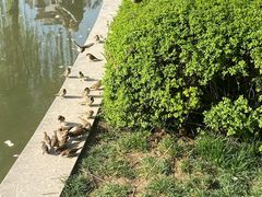 -木塔寺遗址生态公园