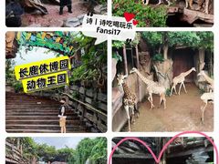 -长鹿旅游休博园