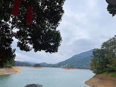 -广州市流溪河国家森林公园