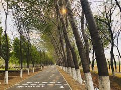 -东郊湿地公园