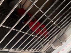 -派美特宠物医院·核磁CT·骨科肿瘤·疑难转诊(沈农禾丰店)