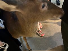 -昆明大悦城未来动物城(螺蛳湾中心店)