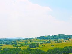 -乌兰布统草原