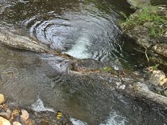 -石台牯牛降景区