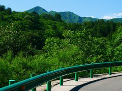 -白水寺森林公园