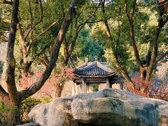 -无锡梅园公园