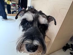 -闽江夜游台江旅游码头