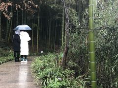 -天目湖涵田半山温泉