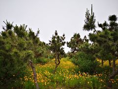 -青岛银沙滩