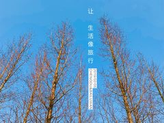 -白鹭湾湿地公园