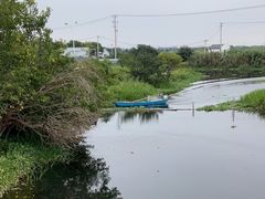 -莲花岛景区