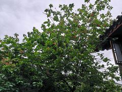 -丽江花间堂·隐泉院