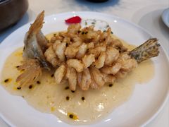 精灵松鼠桂鱼-海味观(老西门店)