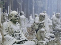 -武陵山森林公园