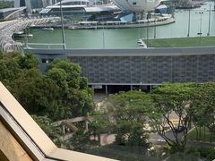 -新加坡丽思卡尔顿美年酒店
