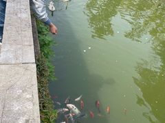 -苏州文庙(姑苏区)