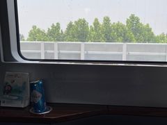-和颐至尚酒店(石家庄勒泰中心省博物院店)