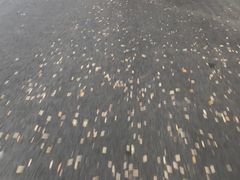 -麦当劳(展览路店)