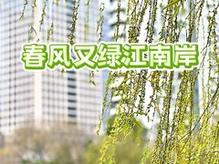 -西湖文化广场