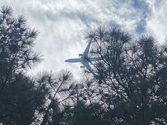 -风云岭森林公园