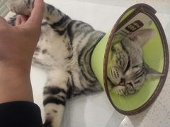 -美迦爱-牙专科·兔科·骨科诊疗中心(北苑店)