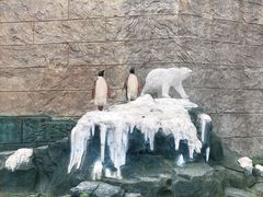 -梦幻奥陶纪景区